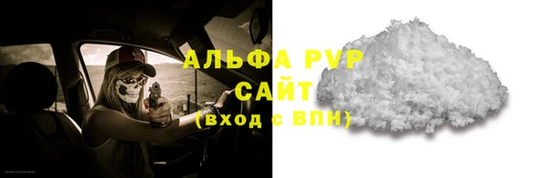 шишки Рославль