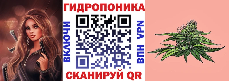 Шишки марихуана план  Кузнецк 